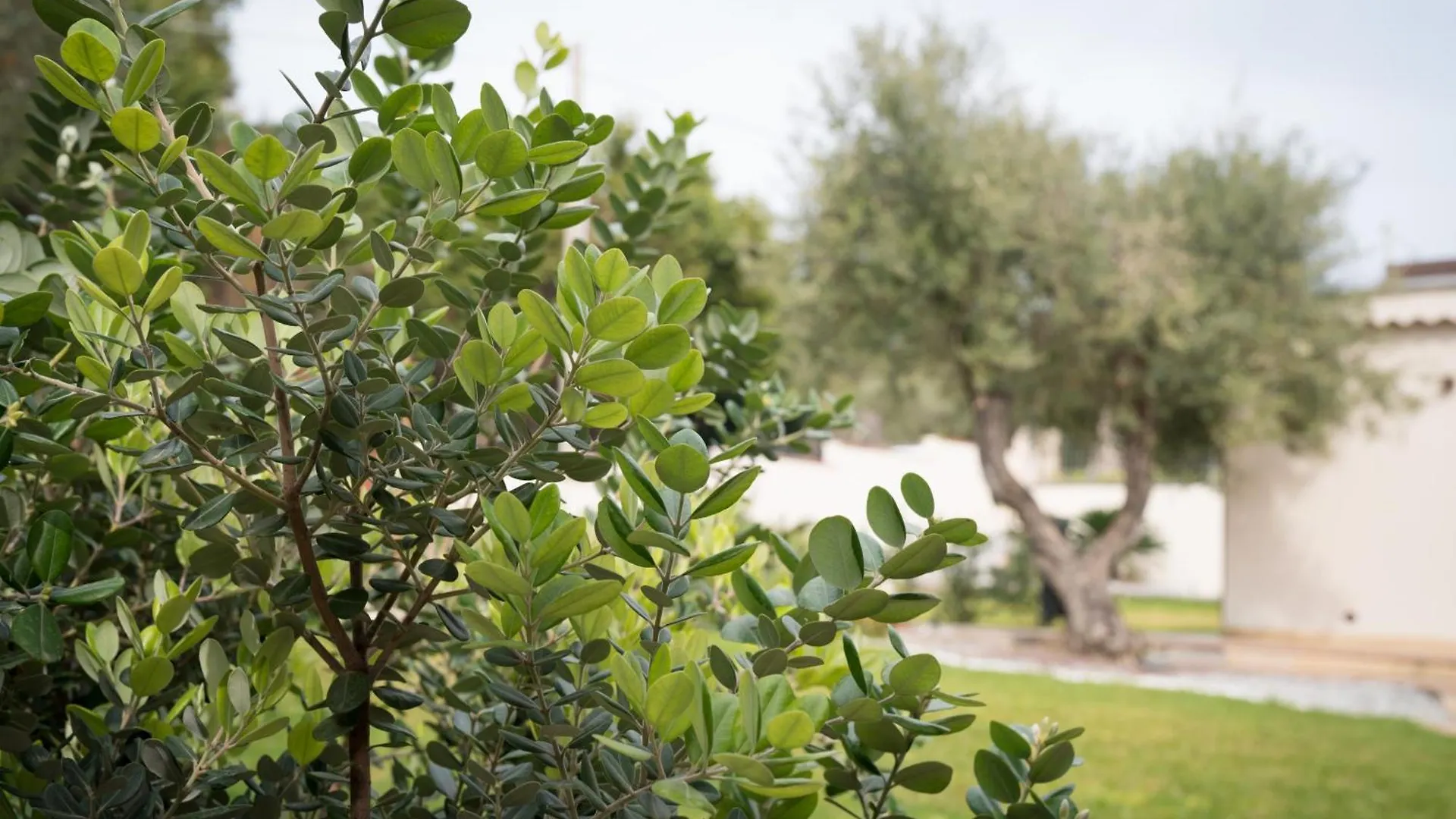 Bed & Breakfast B&B La Manica